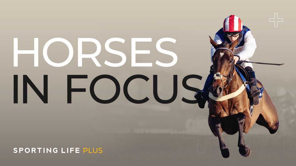 Get today's Horses In Focus