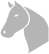 Horse image
