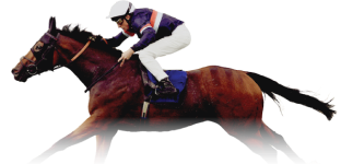 Image of a horse race faded in a gold gradient