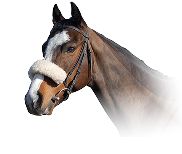 Image of stables faded in a gold gradient